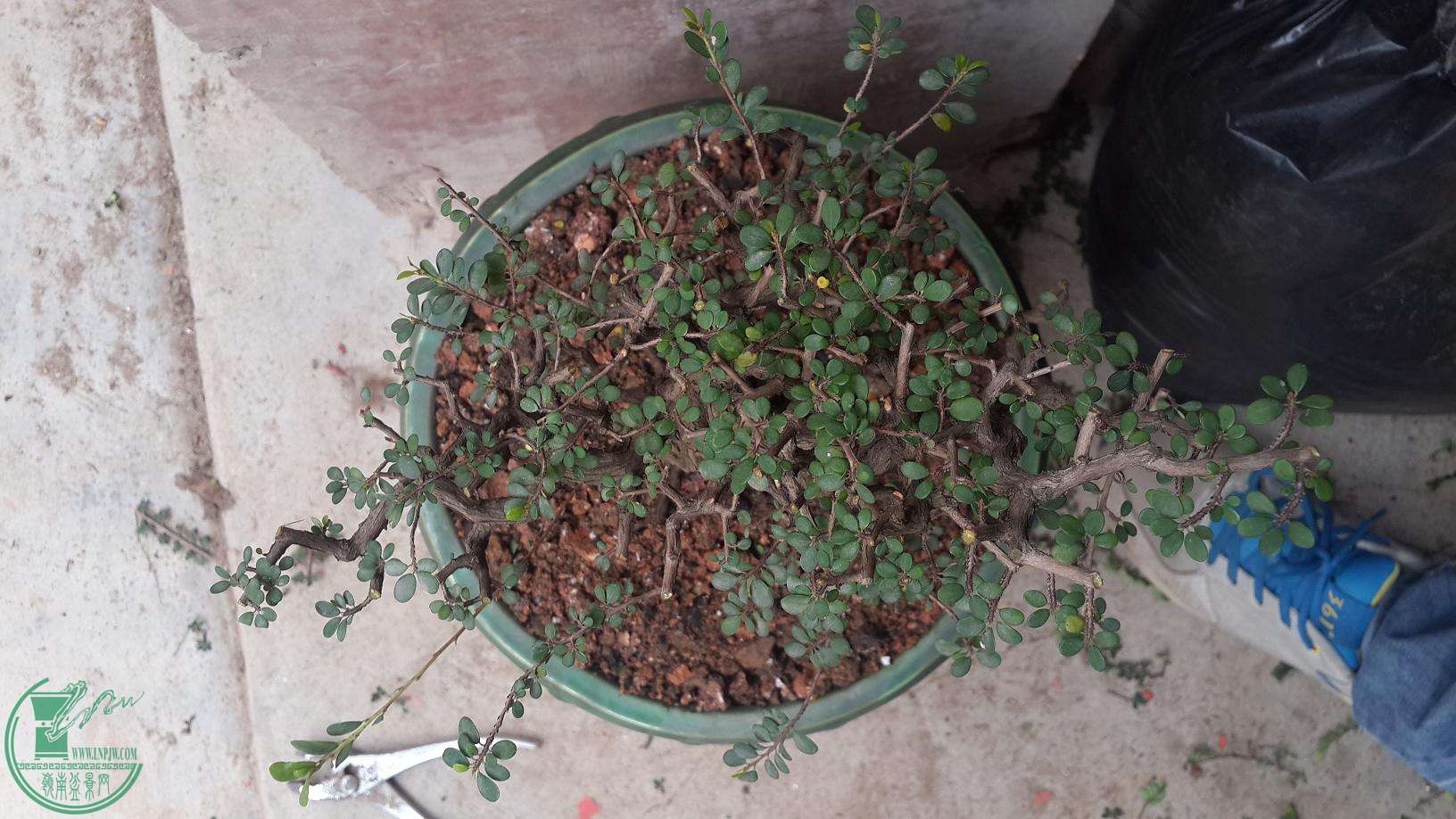 20160307_144654.jpg