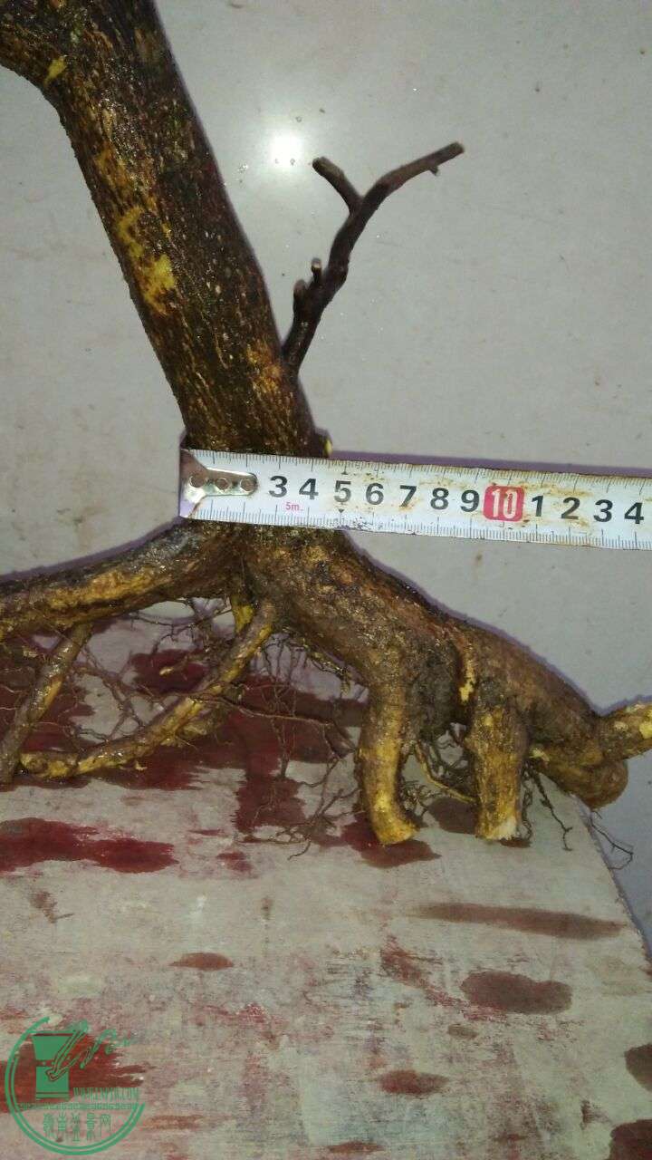 QQͼƬ20160308183734.jpg