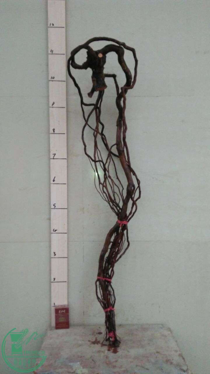 QQͼƬ20160308183803.jpg