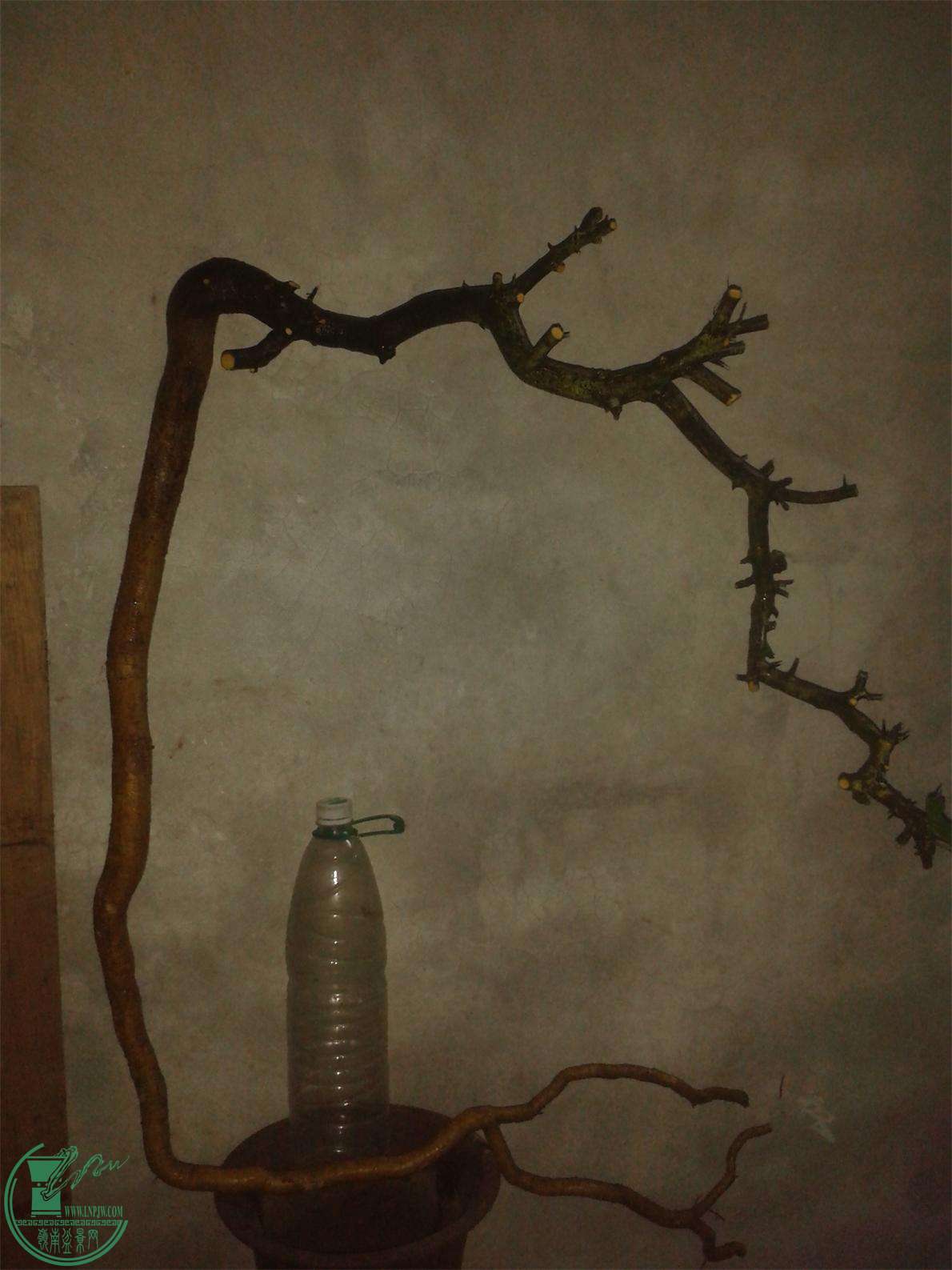 20160308_185337.jpg