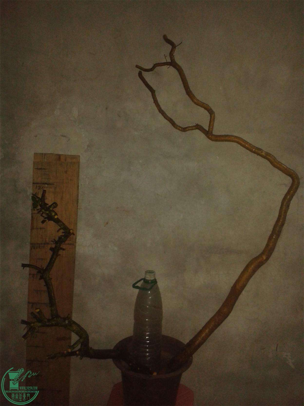 20160308_185422.jpg
