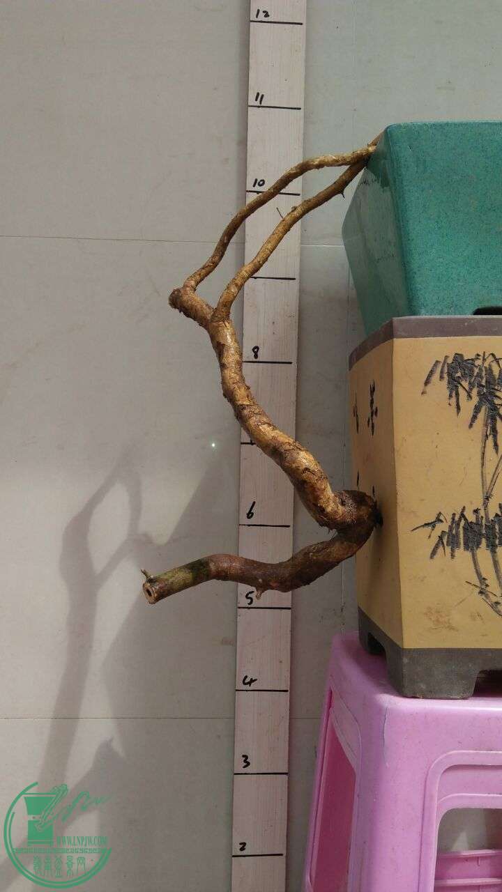 QQͼƬ20160308193430.jpg