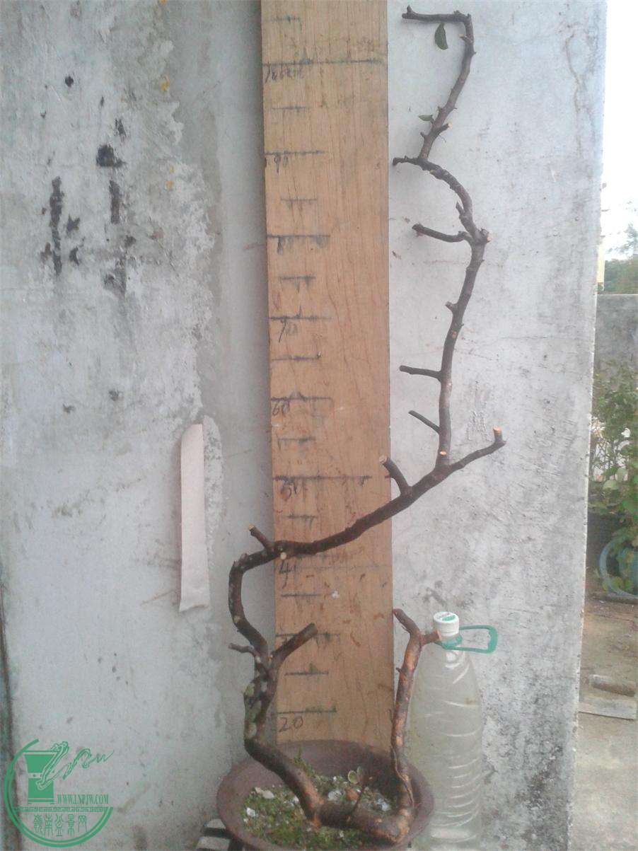 20160308_184009.jpg