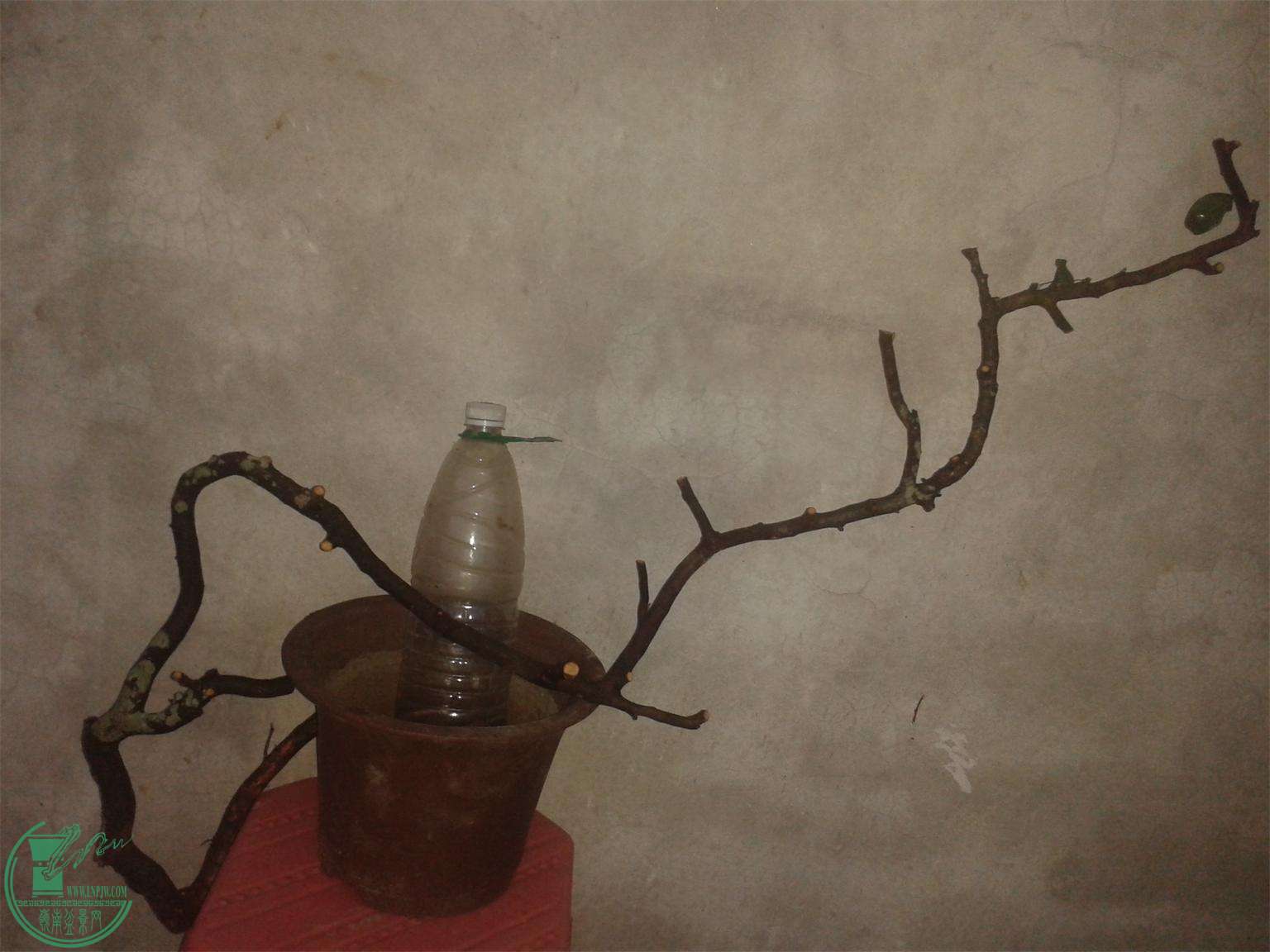 20160308_184718.jpg