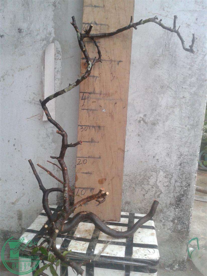 20160308_183648.jpg