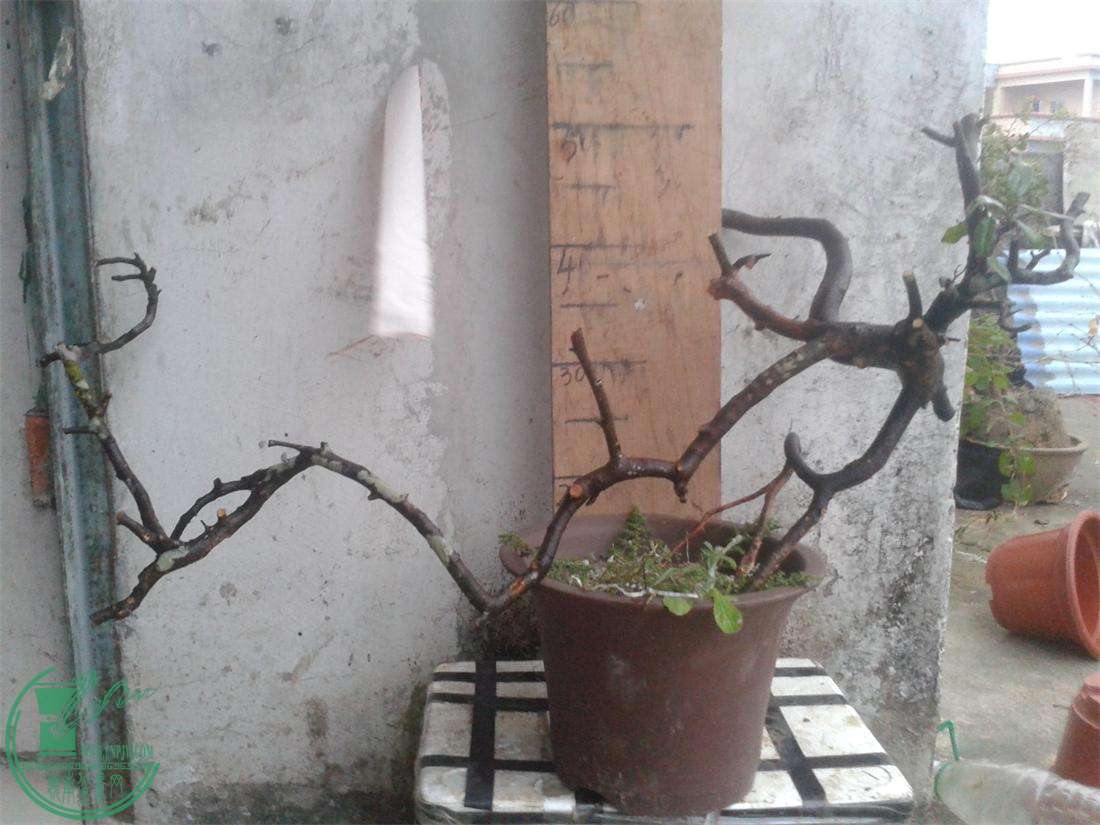 20160308_183737.jpg