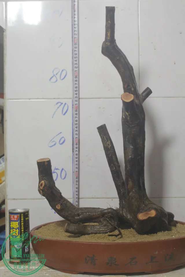 psb (3).jpg