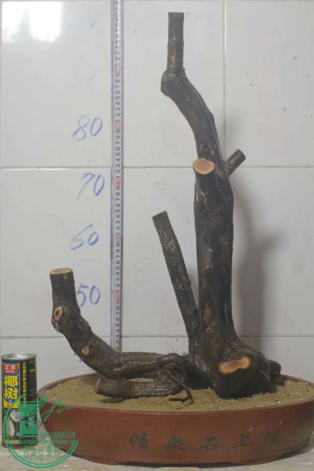 psb (4).jpg