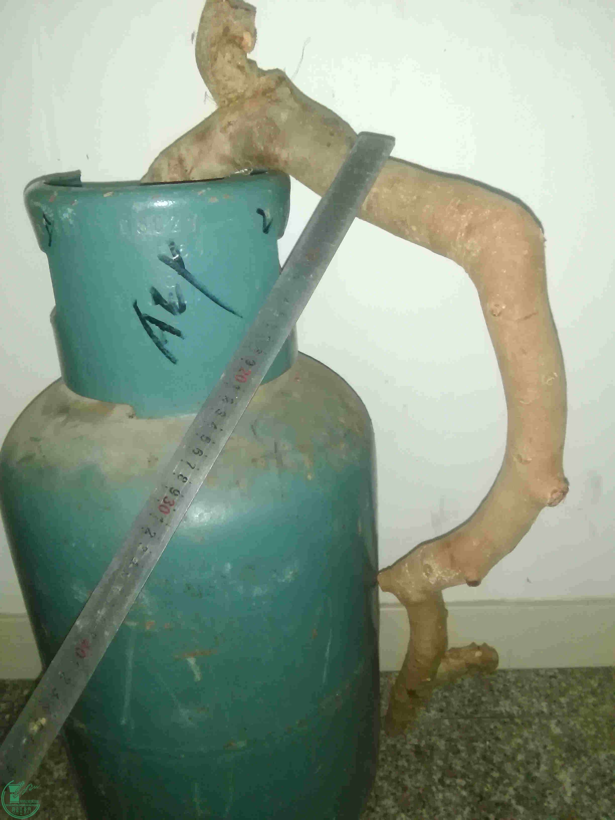 260