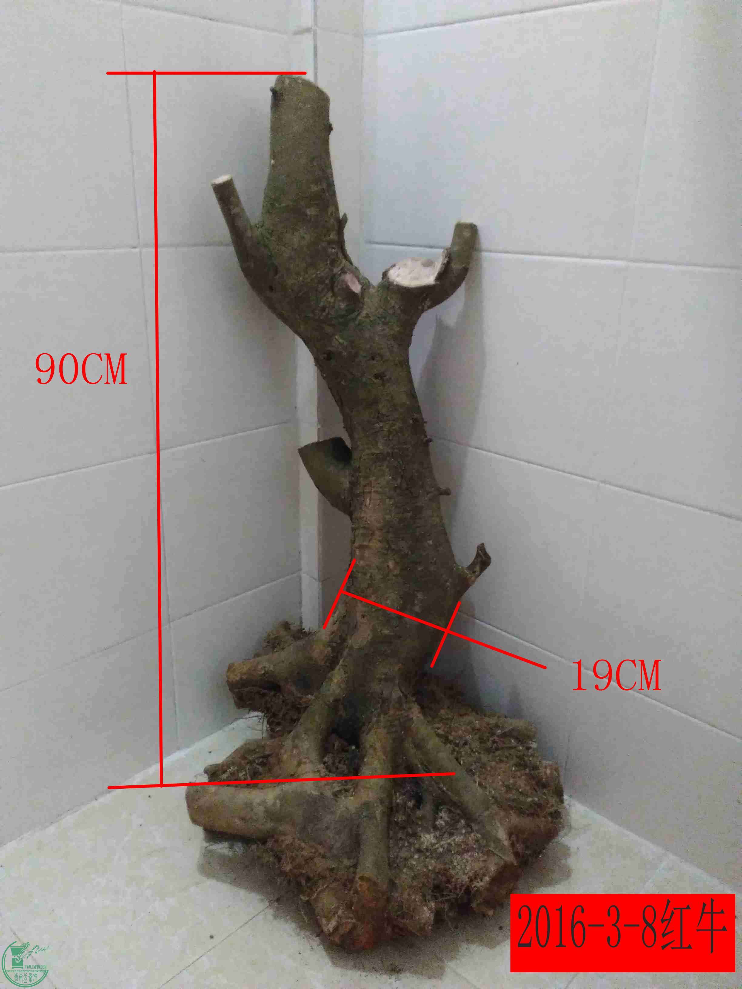 1231.jpg