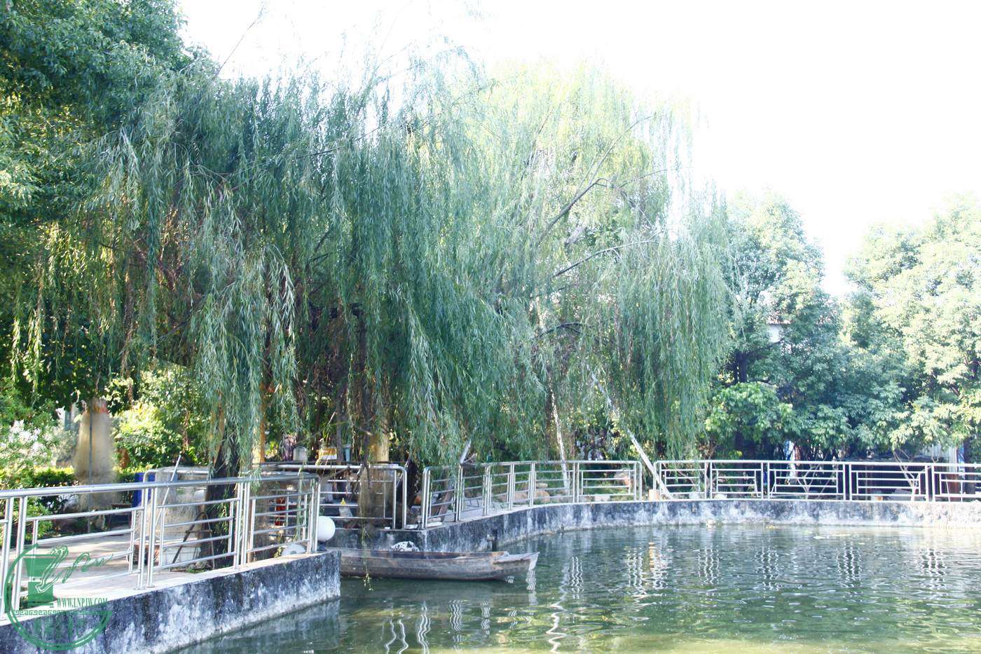 _MG_9171.jpg