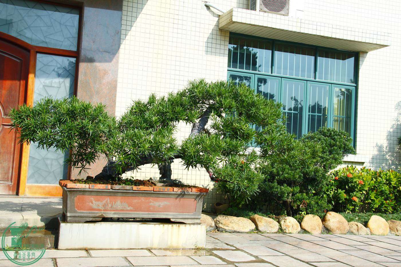 _MG_9190.jpg