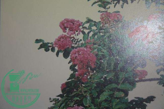 Ƭ20131026ۺ 944.jpg
