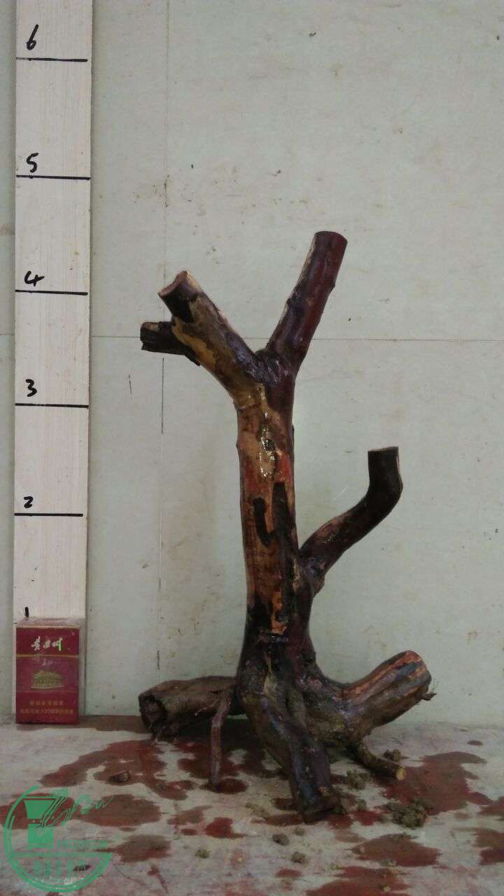QQͼƬ20160309190126.jpg