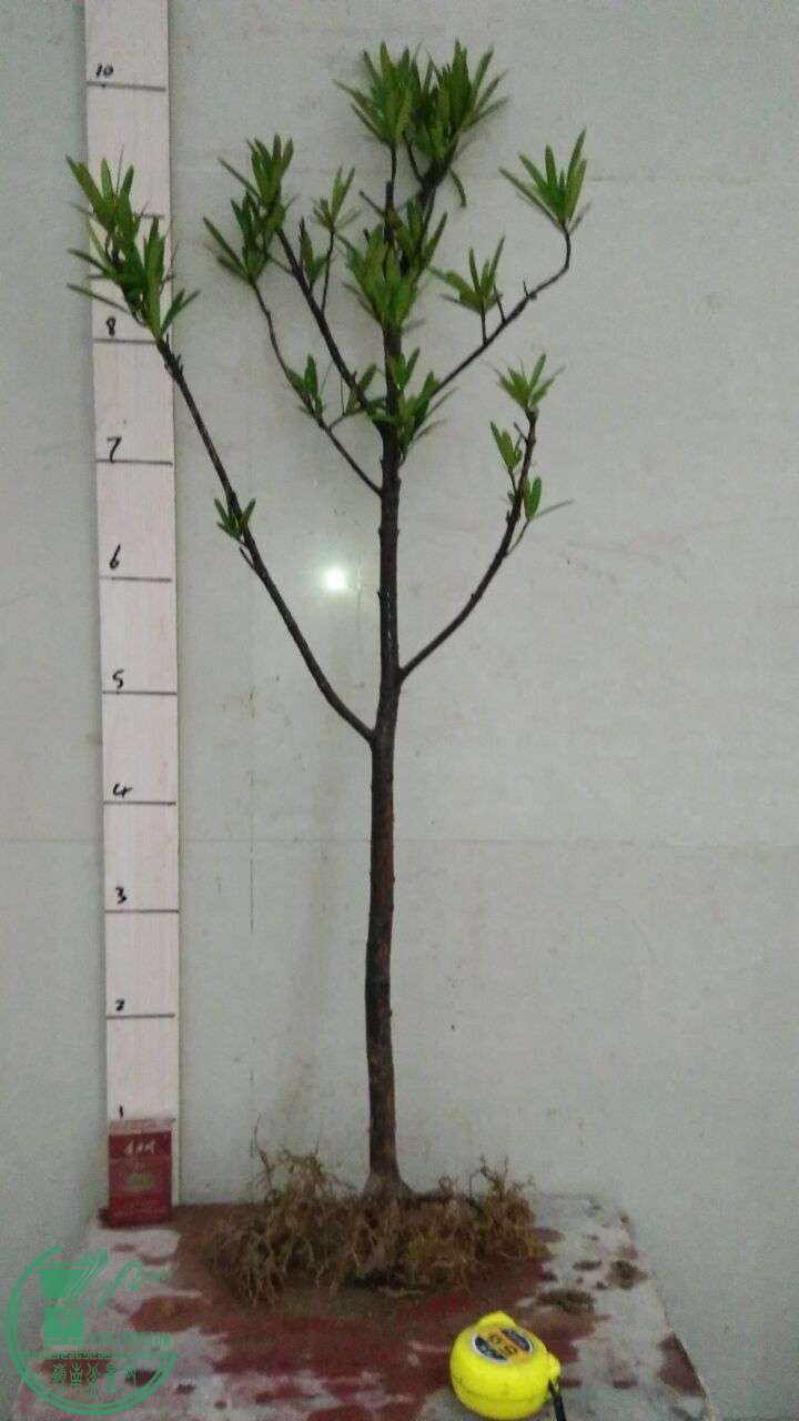 QQͼƬ20160309190345.jpg
