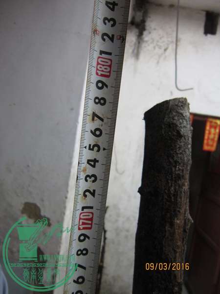 IMG_0045.JPG