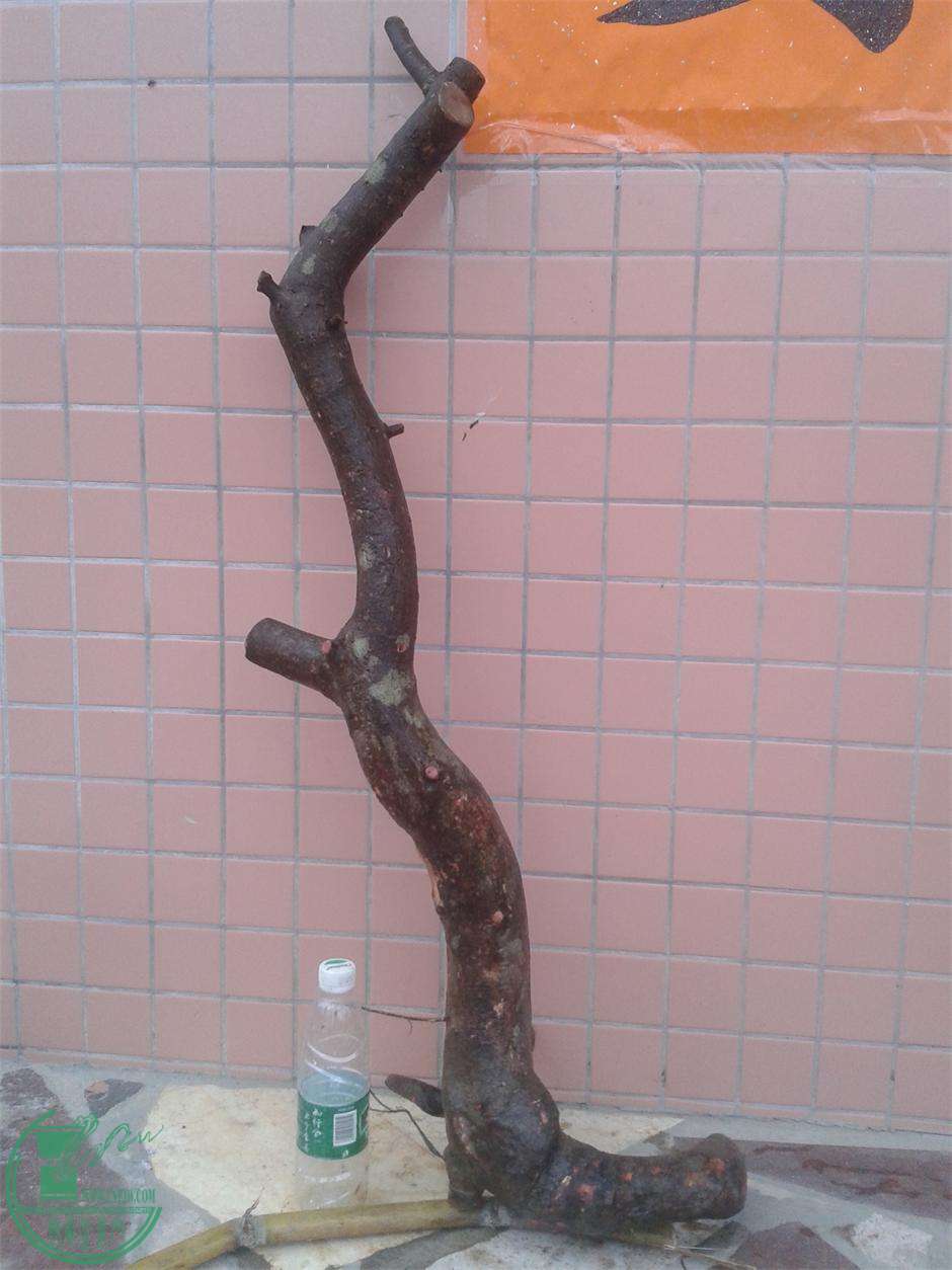 20160309_172516.jpg