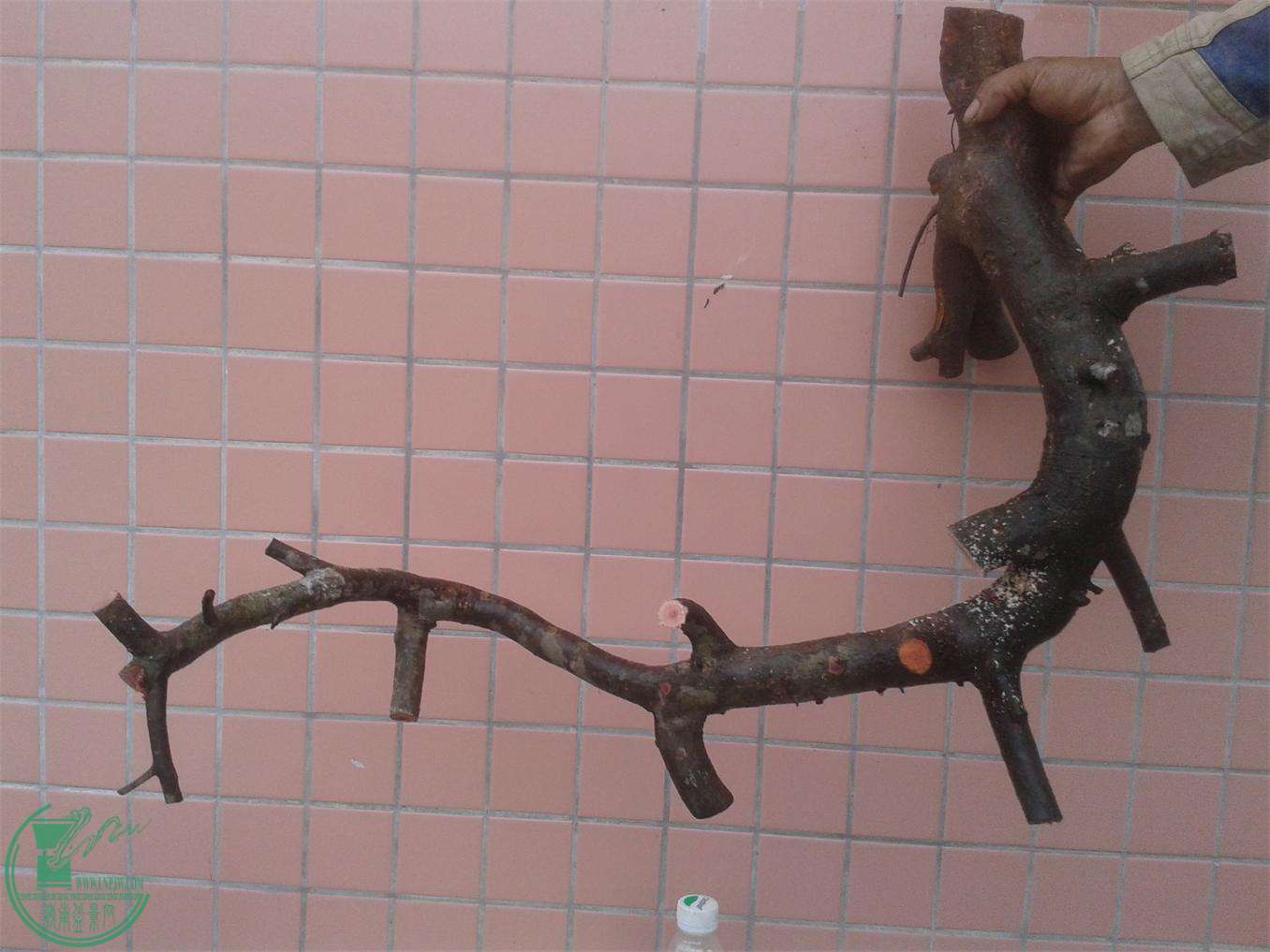 20160309_172125.jpg