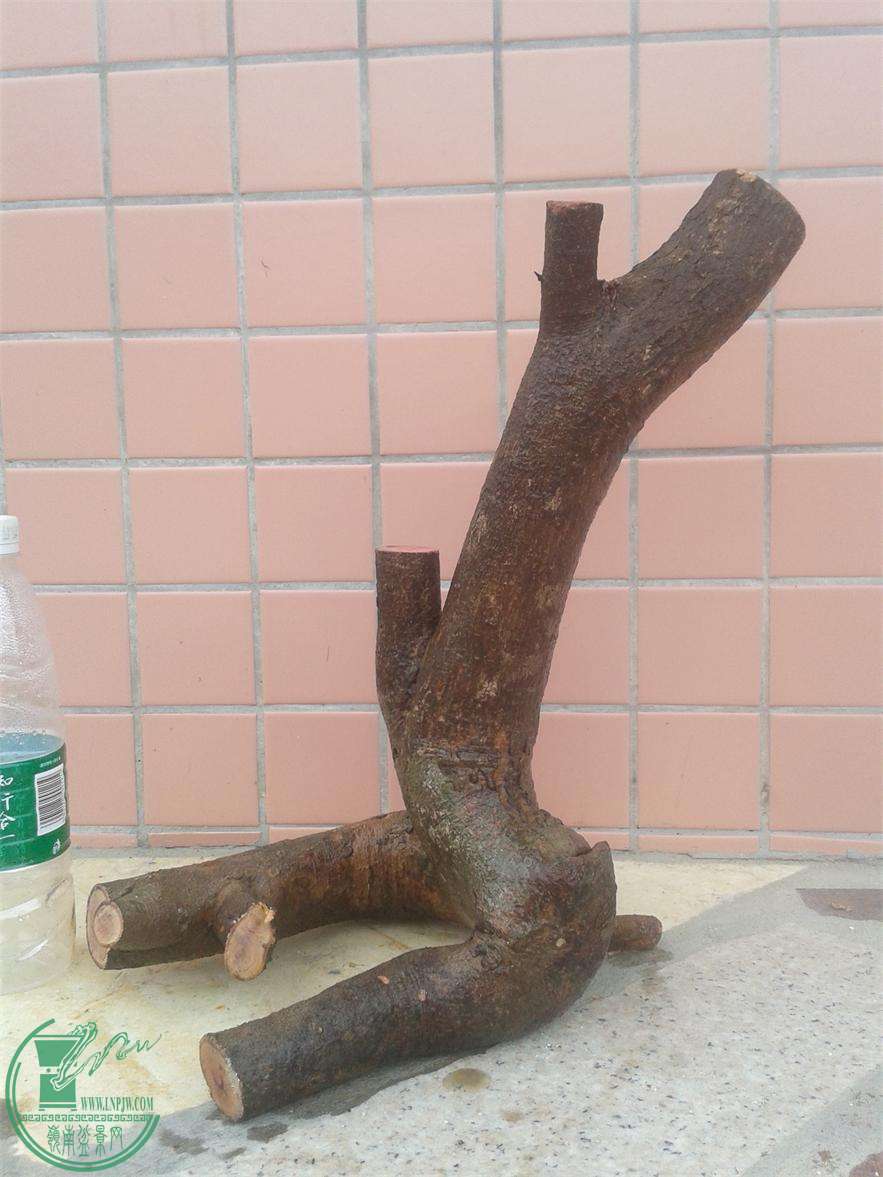 20160309_171809.jpg
