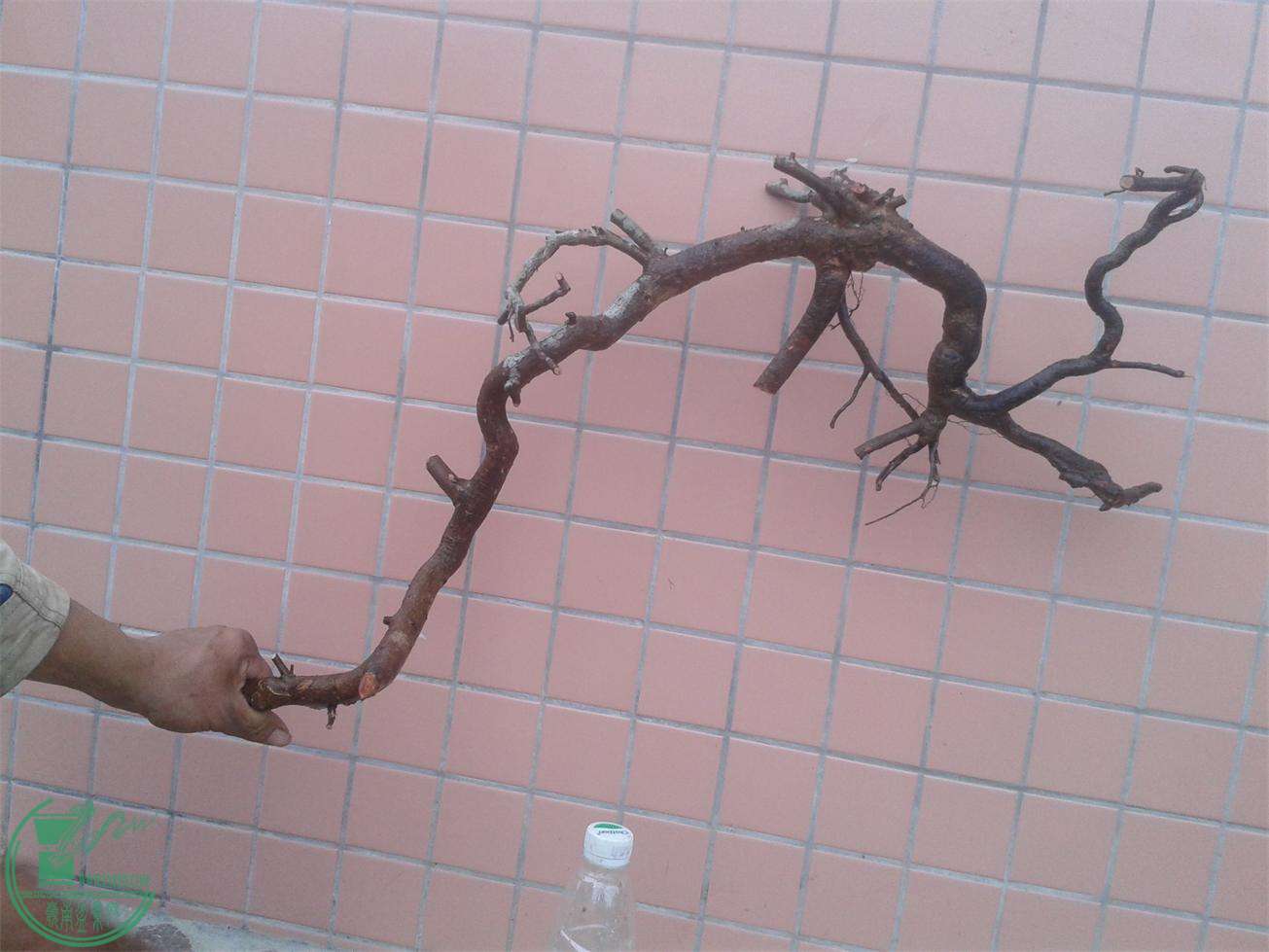 20160309_172545.jpg