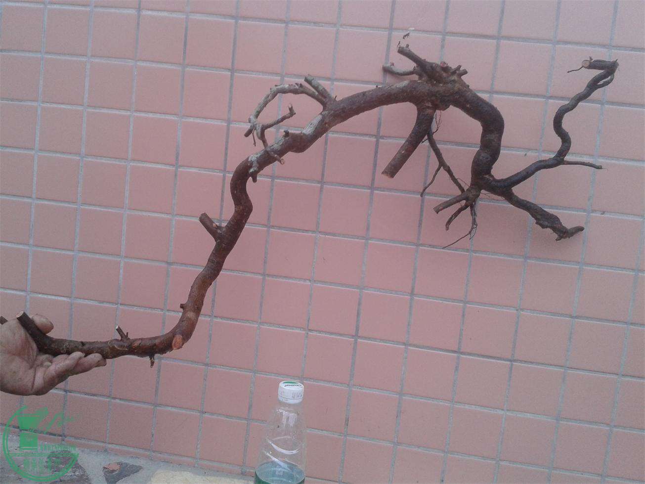 20160309_172554.jpg