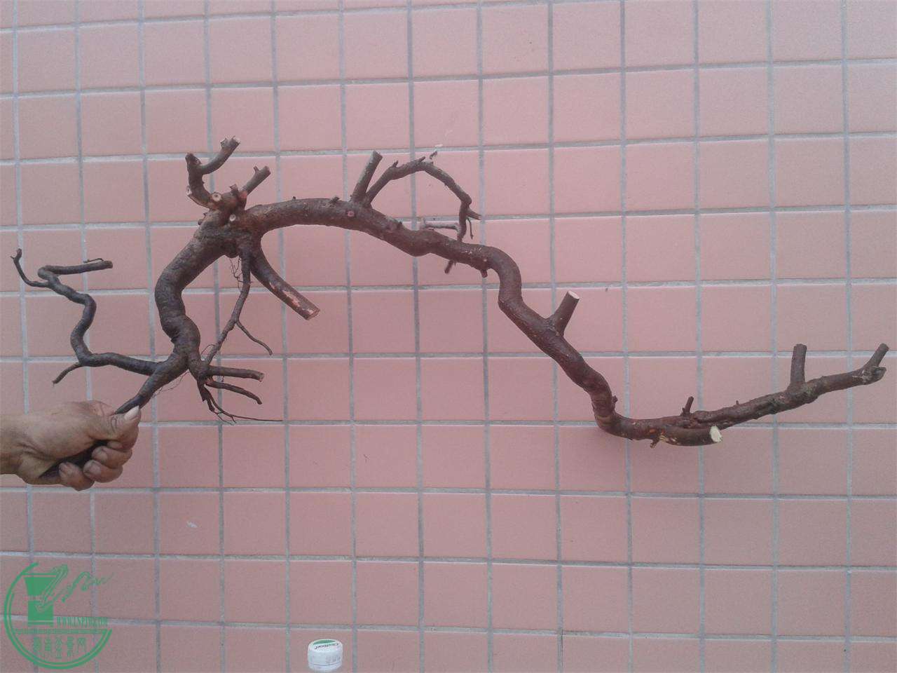 20160309_172605.jpg