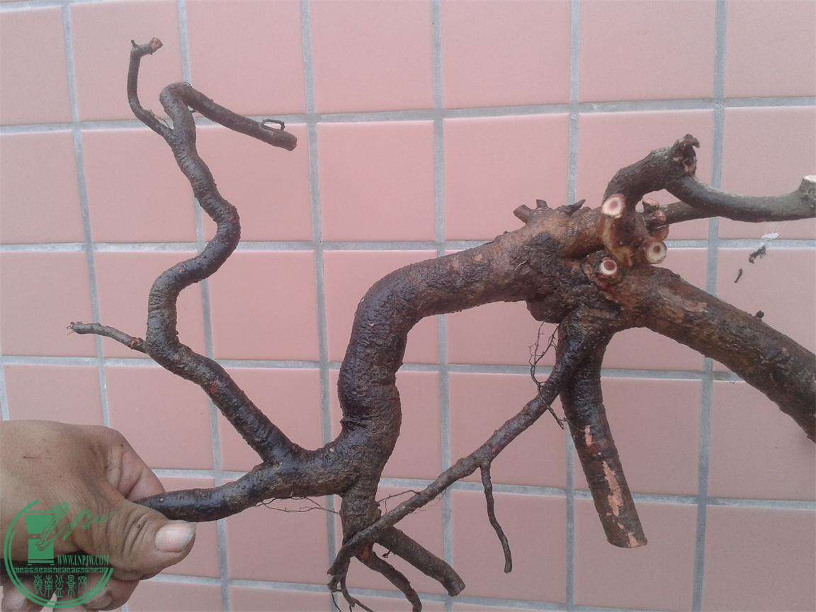 20160309_172622.jpg