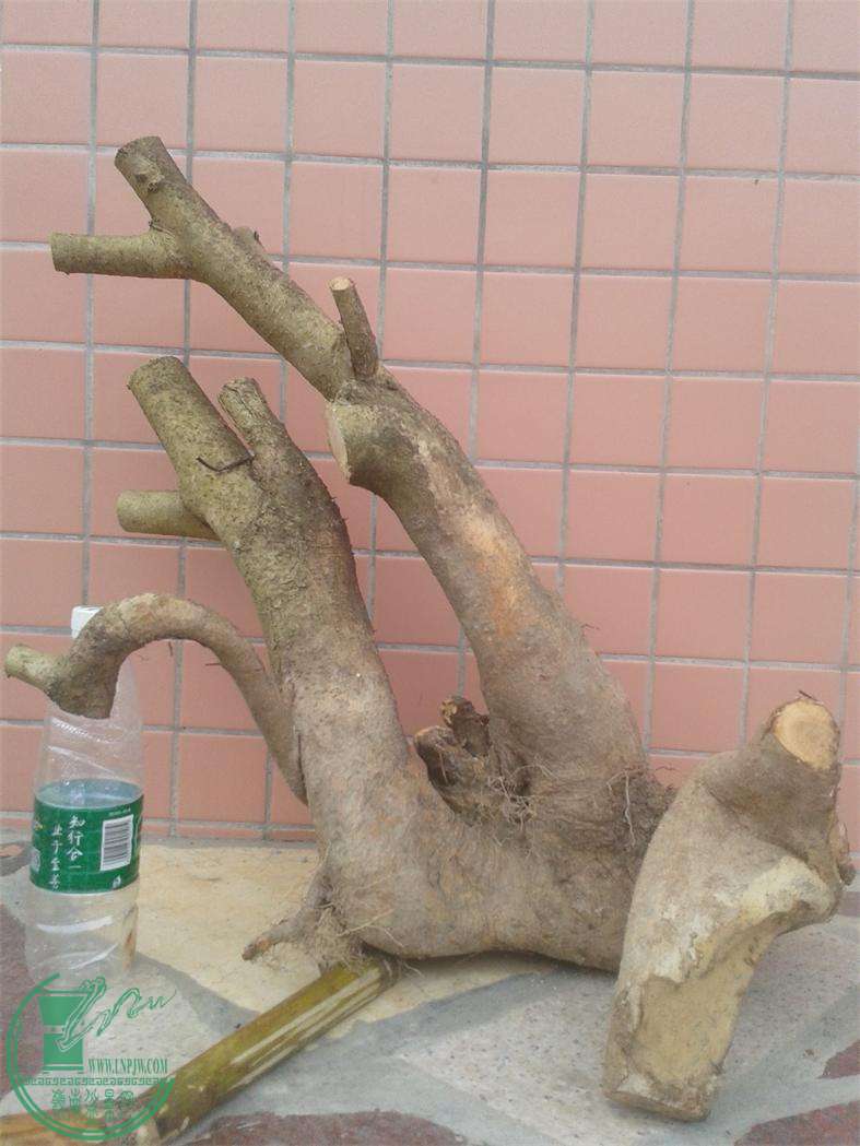 20160309_171430.jpg