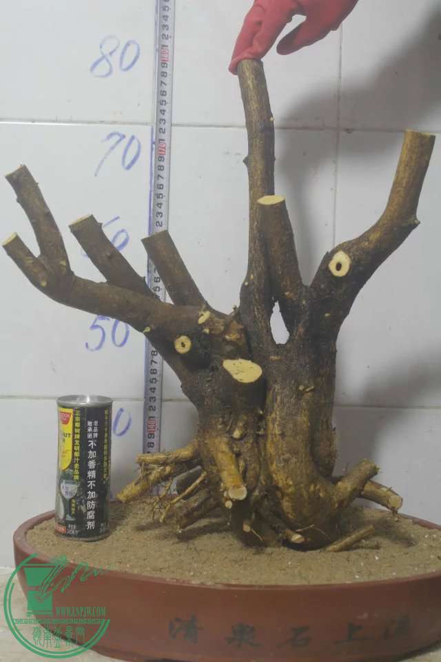 psb (27).jpg