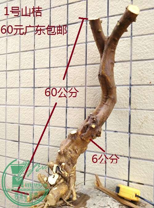QQͼƬ20160310165244.jpg