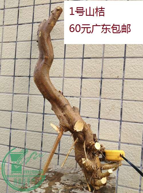 QQͼƬ20160310165301.jpg