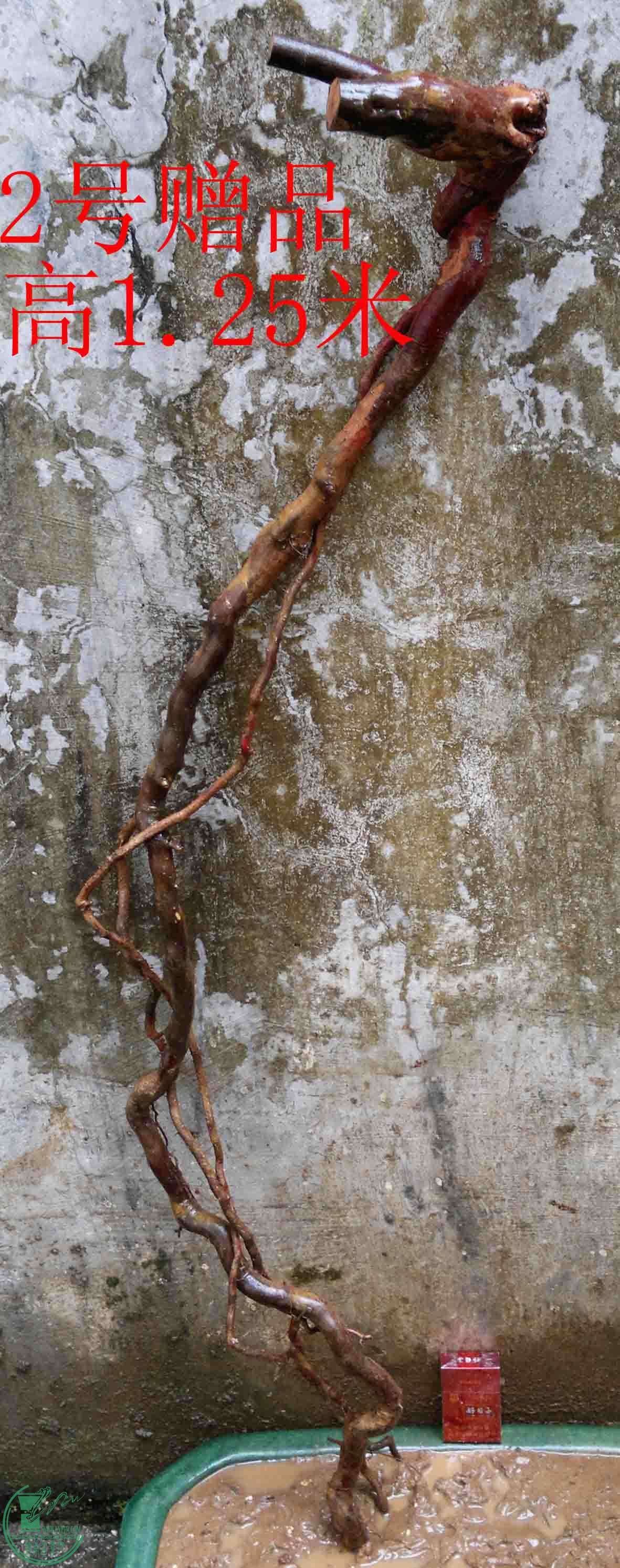 2011012612092.jpg