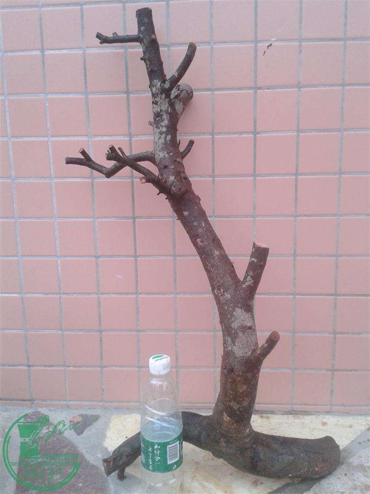 20160309_172645.jpg