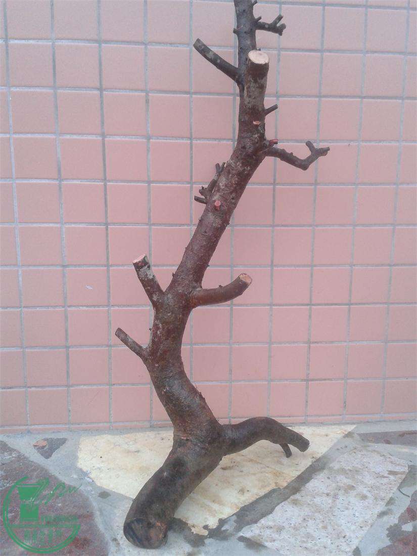 20160309_172706.jpg
