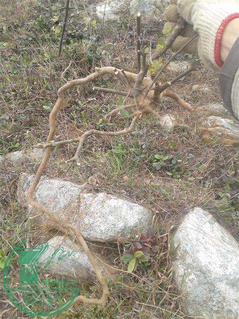 20160309_123234.jpg