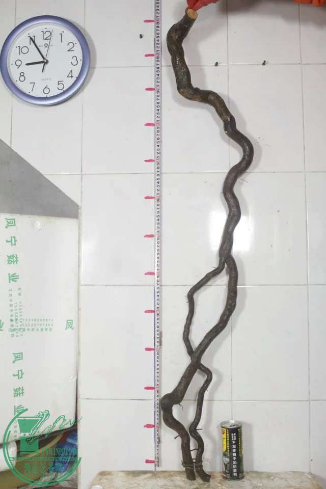 psb (10).jpg