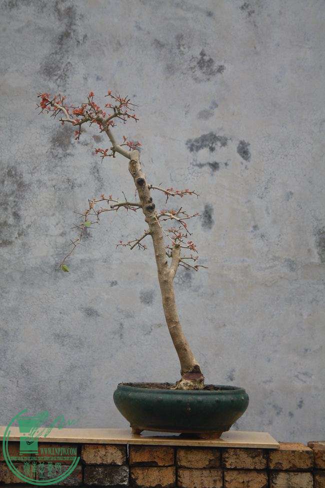 Ƭ20131026ۺ 945.jpg