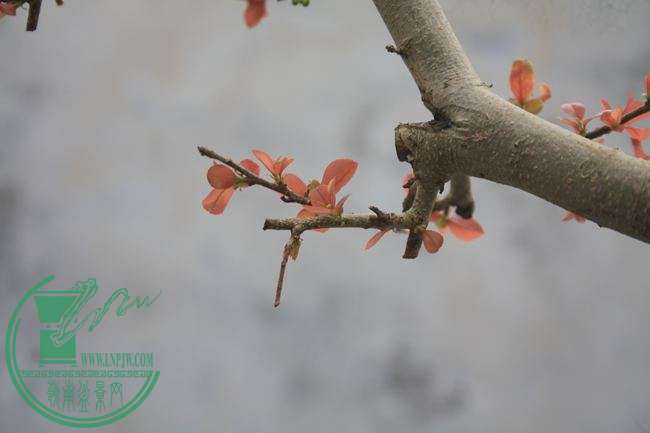 Ƭ20131026ۺ 954.jpg