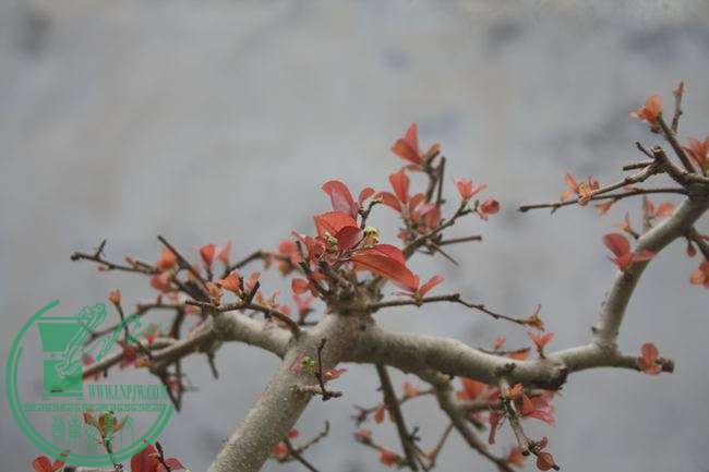 Ƭ20131026ۺ 969.jpg