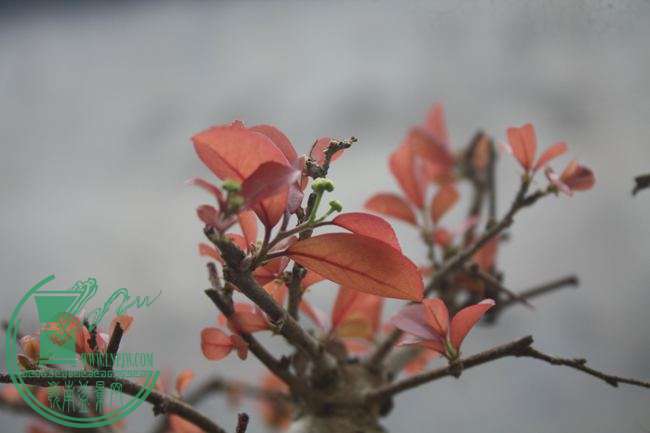 Ƭ20131026ۺ 970.jpg