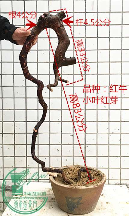 11_1.jpg
