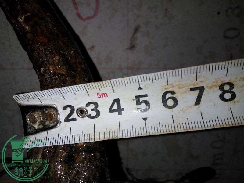 761313