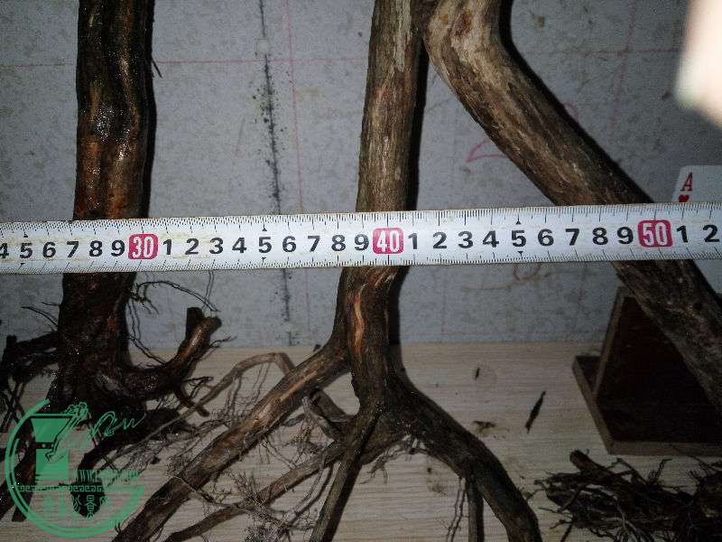 761445