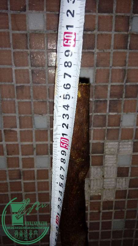 761500