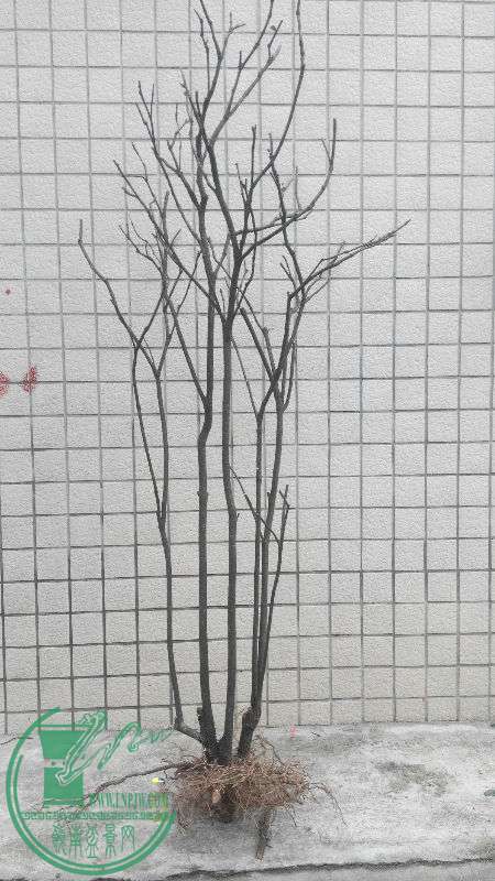 761737