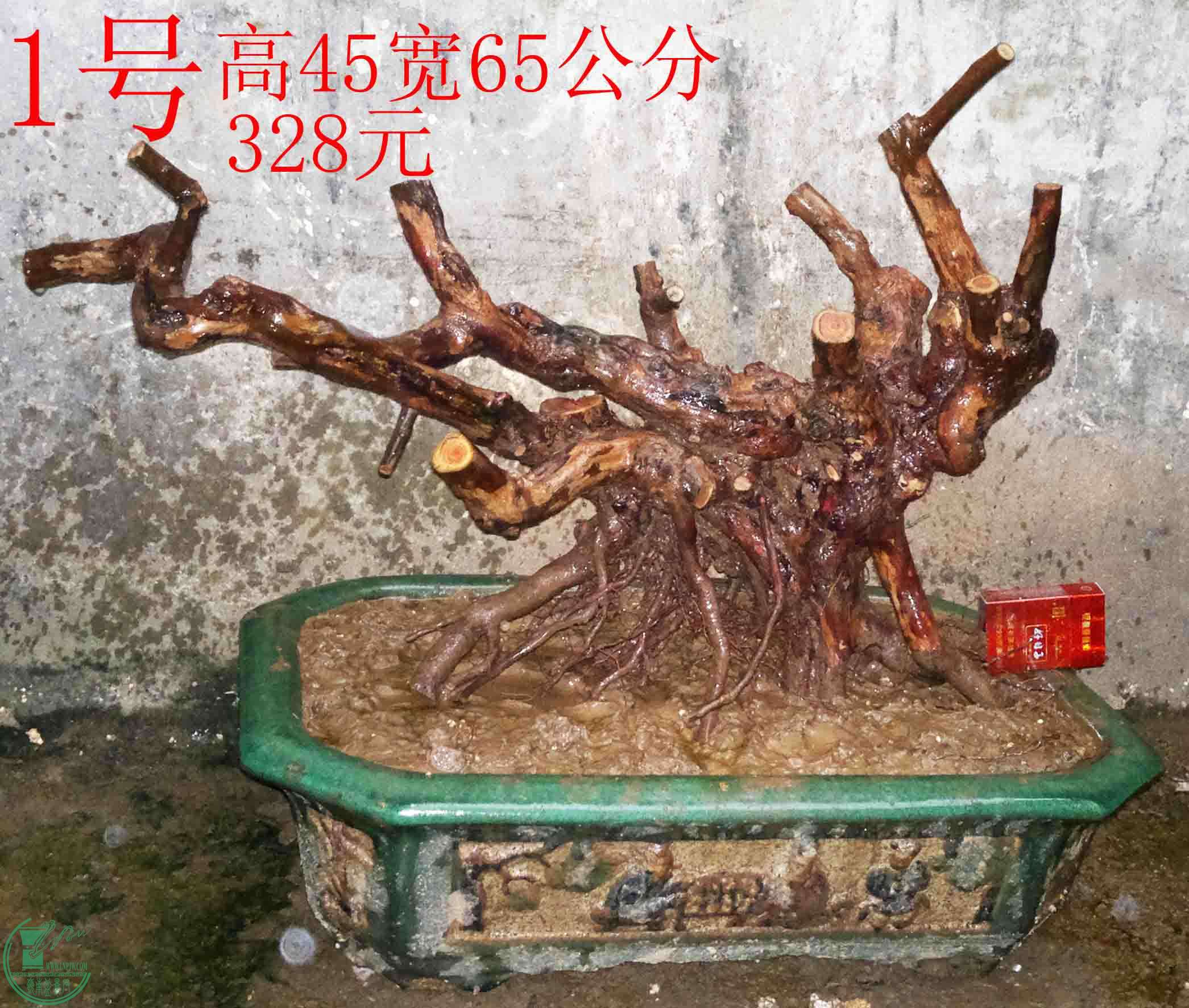 2016031212414.jpg