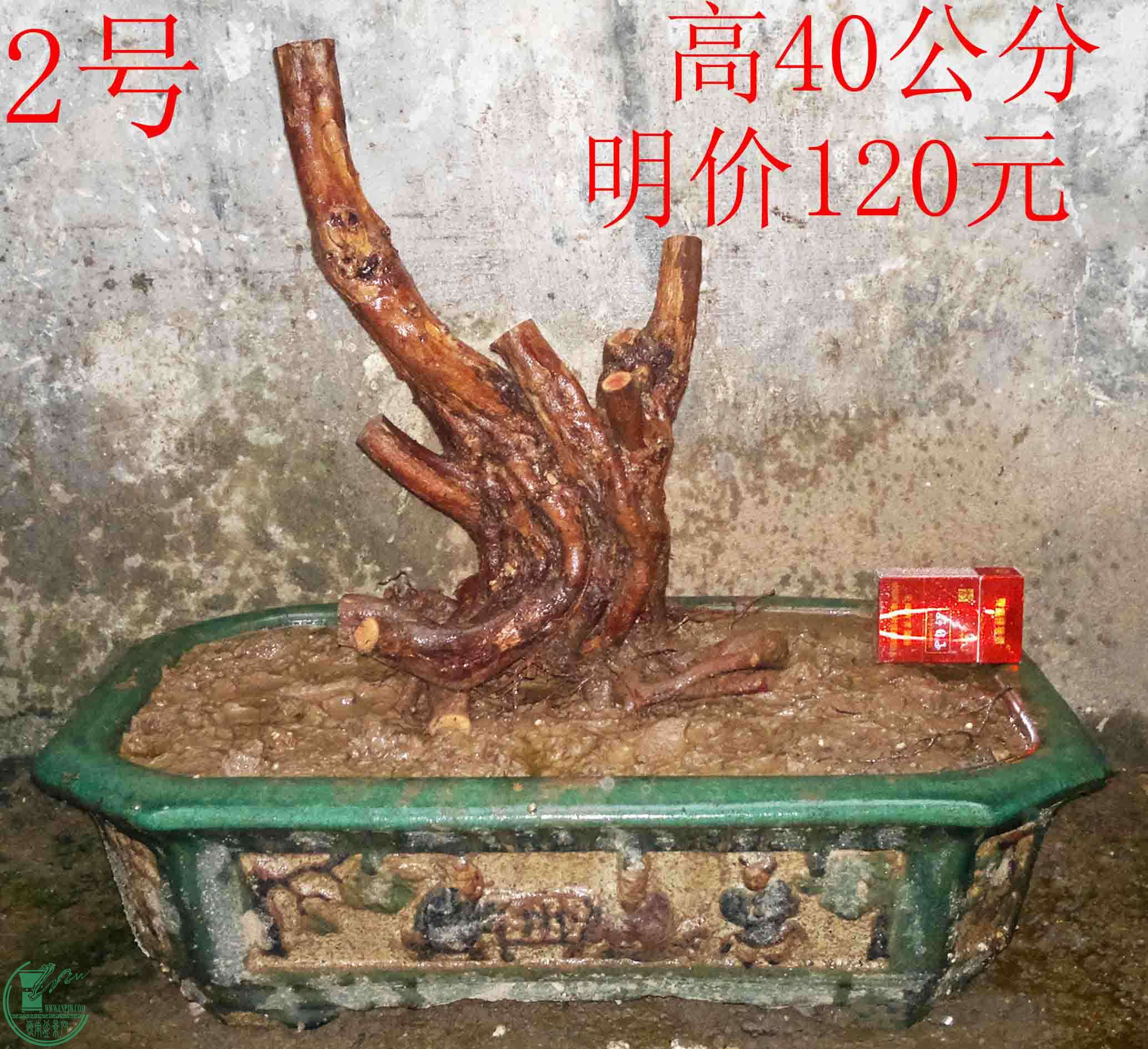 2016031212465.jpg