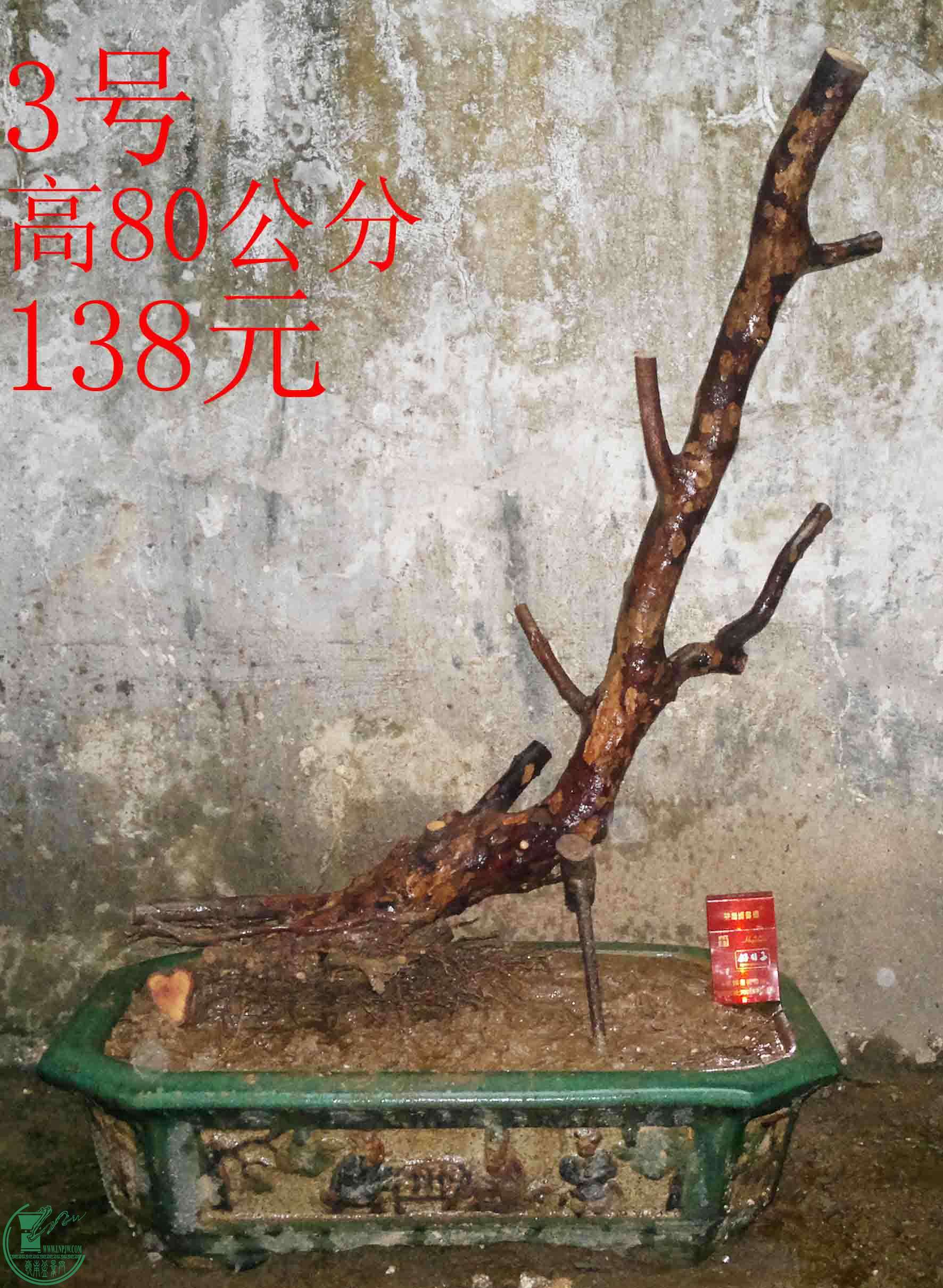 2016031212482.jpg