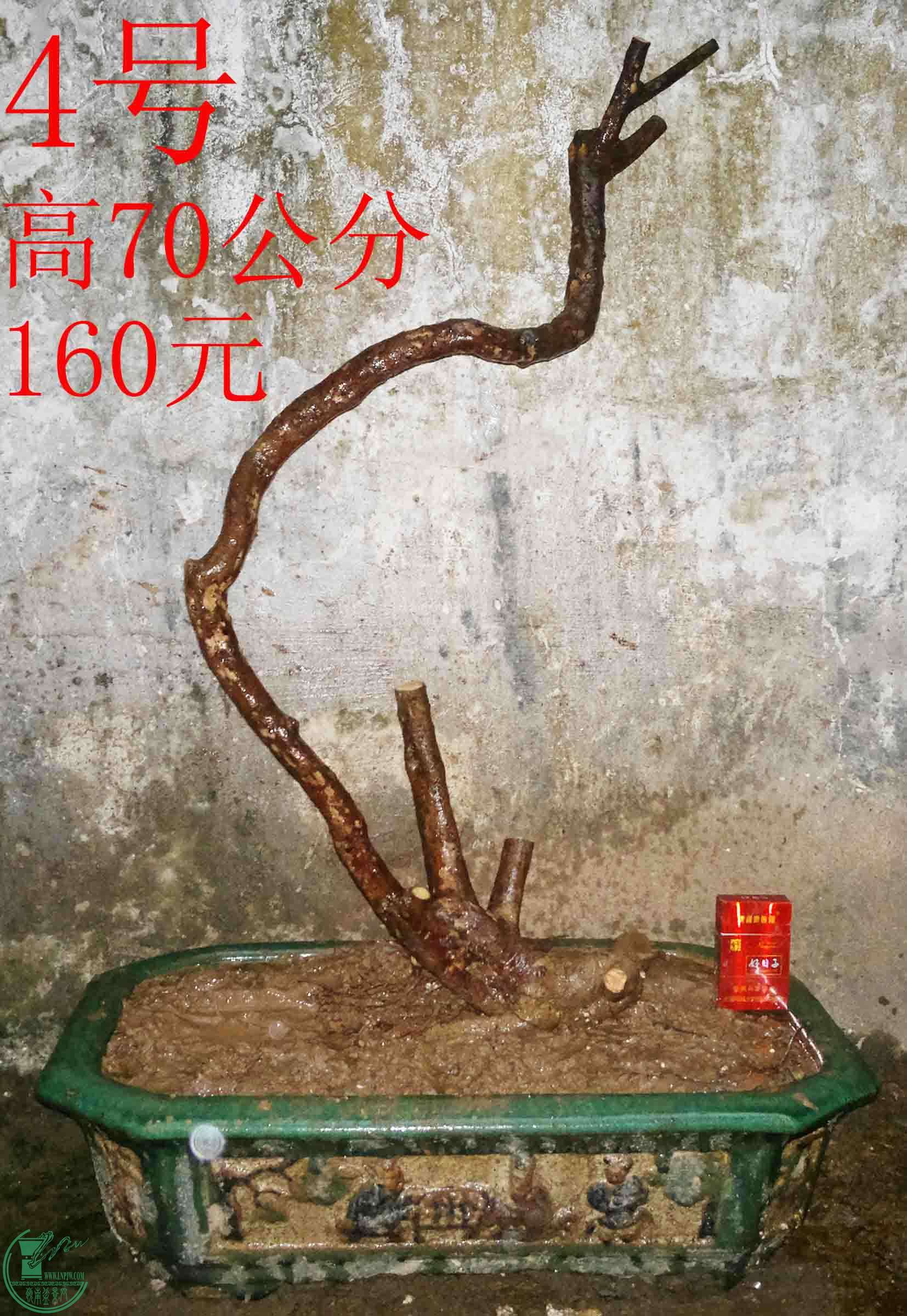 2016031212497.jpg