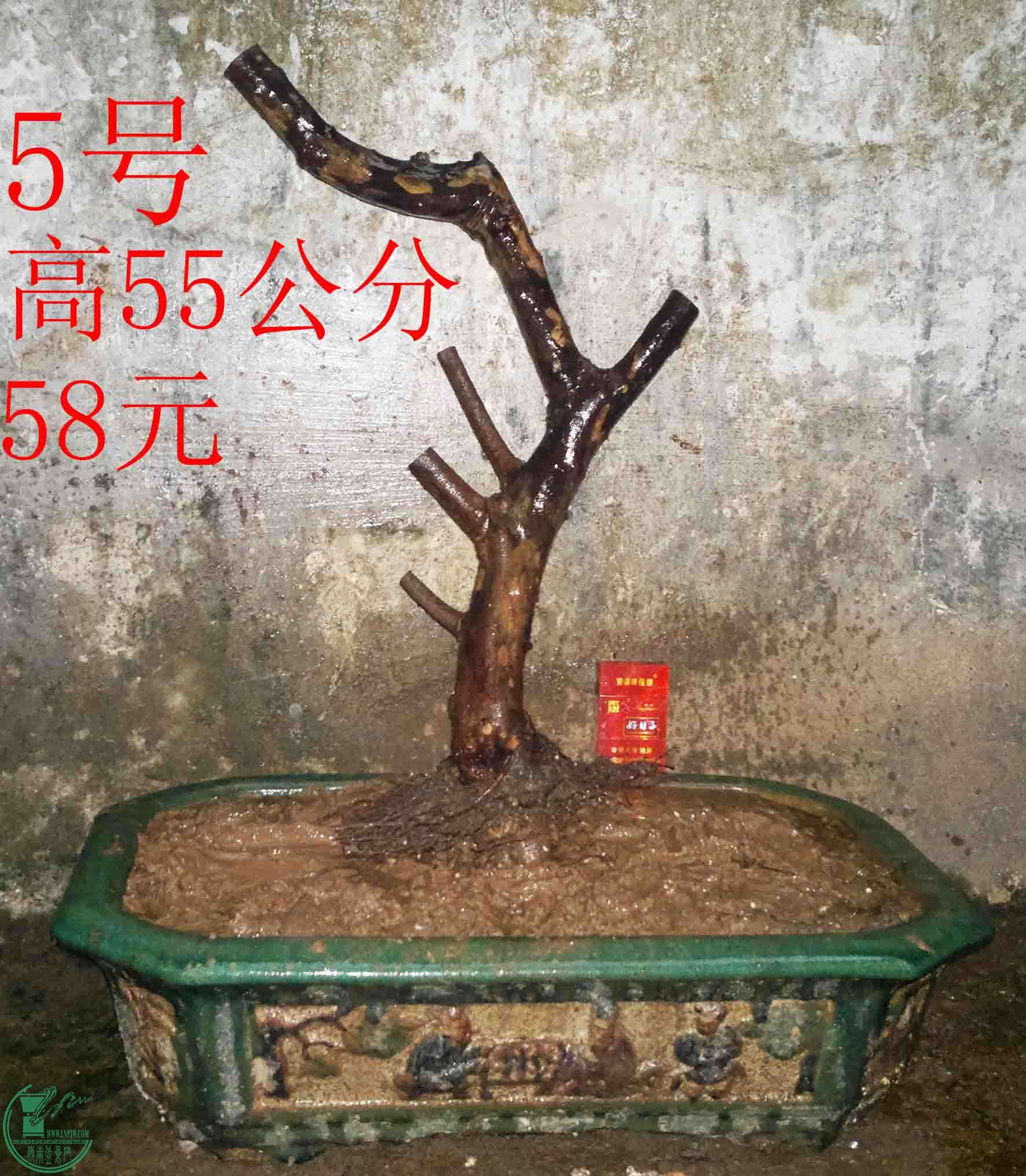 2016031212513.jpg